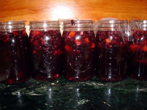 blueberrysoda blueberrysoda