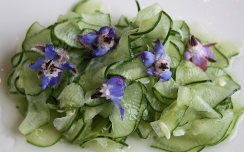 cucumberboragesalad cucumberboragesalad