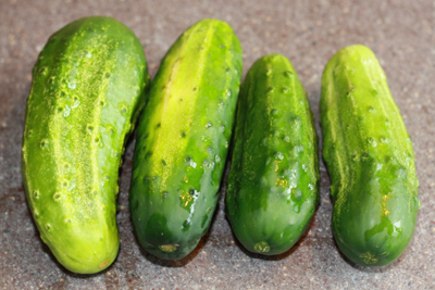 cukes713