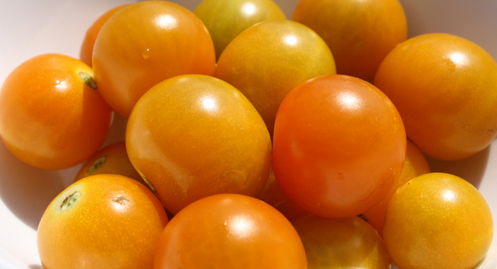 sungoldtomatoes sungoldtomatoes
