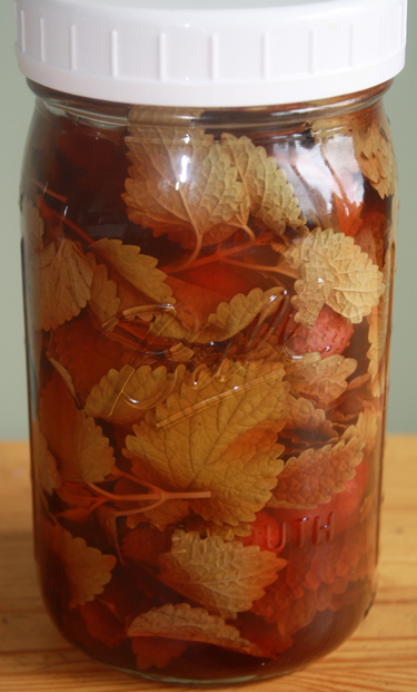 strawberrylemonbalmvinegar strawberrylemonbalmvinegar