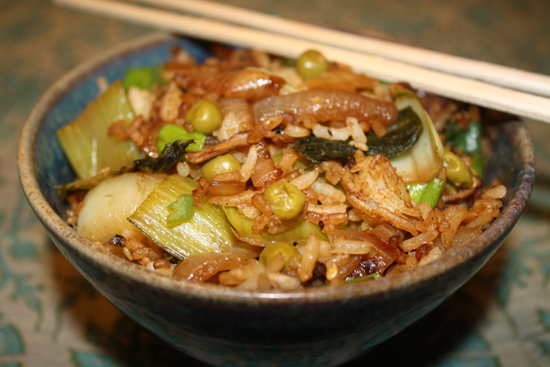 indorice close-up view of a bowl filled with Indonesian Fried Rice, garnished with scallions, with a chopstick resting on top