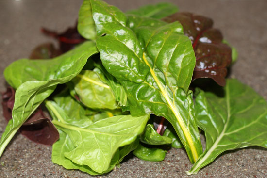 pileofchard pileofchard