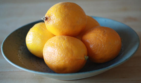 meyerlemons meyerlemons