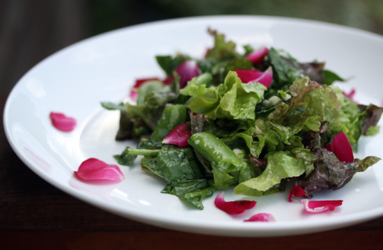 pea and rose petal salad 1 pea and rose petal salad 1