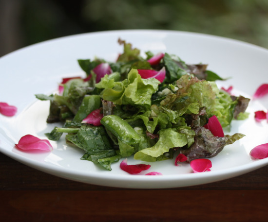 salad3 salad3