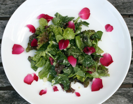 saladtop saladtop