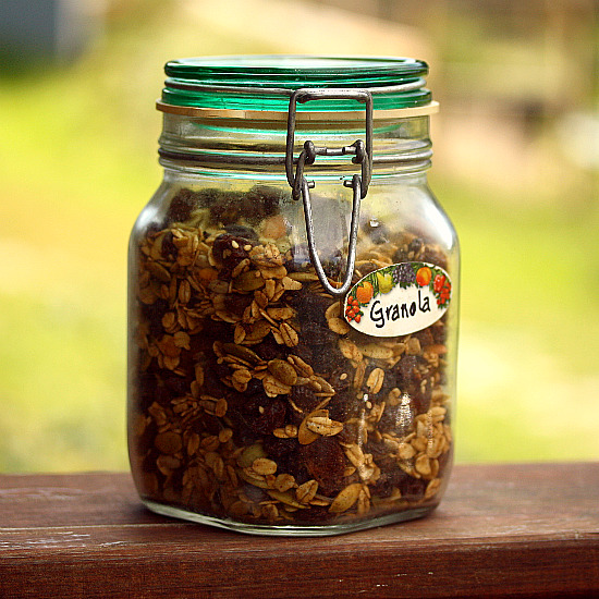 homemade granola homemade granola