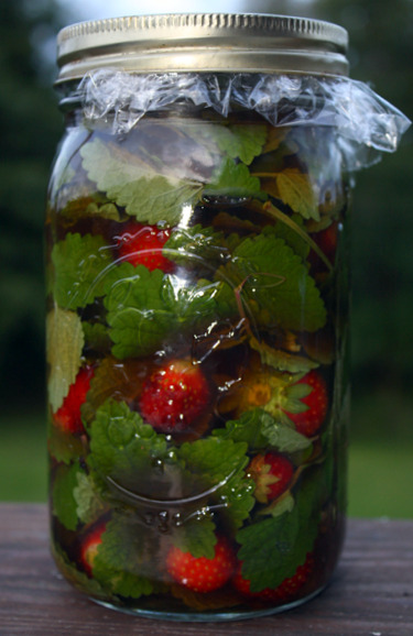strawberrylemonbalmvinegar strawberrylemonbalmvinegar