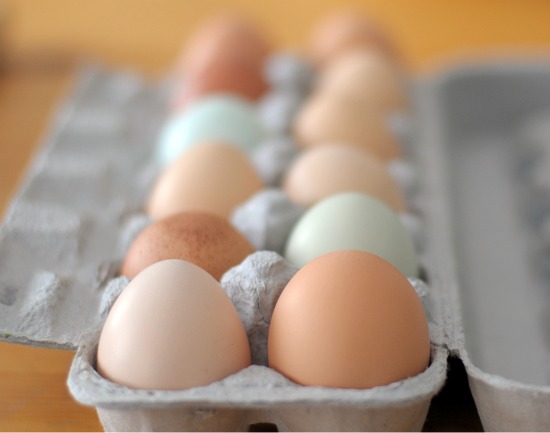 eggs eggs from my chickens