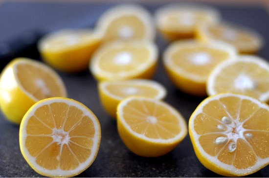 lemons meyer lemons picture