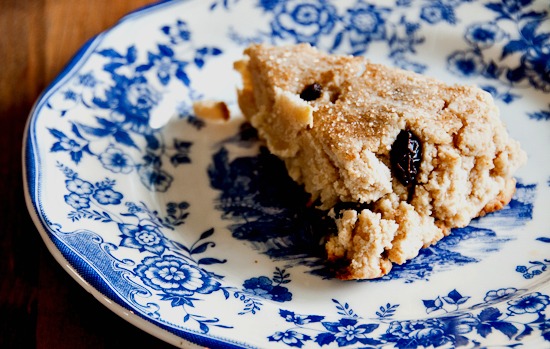 Coconut Raising Scones (Gluten Free and Vegan) Gluten Free and Vegan Coconut Raisin Scone image
