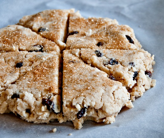 Coconut Raisin Scones (Gluten Free and Vegan) gluten free coconut raisin scones photo