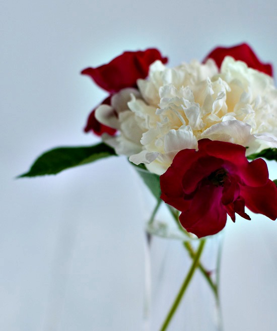 flowers peony and roses