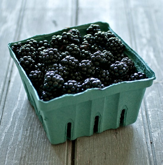 blackberries