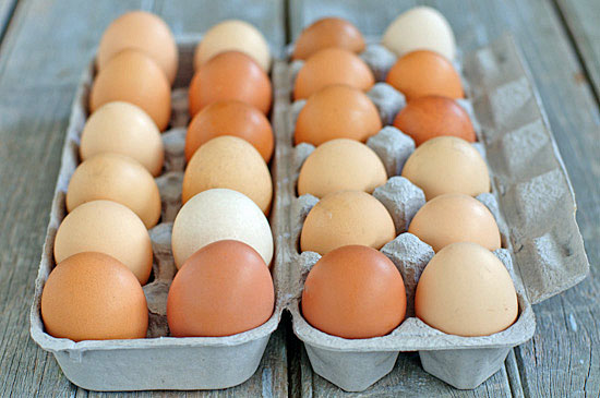 eggs fresh eggs