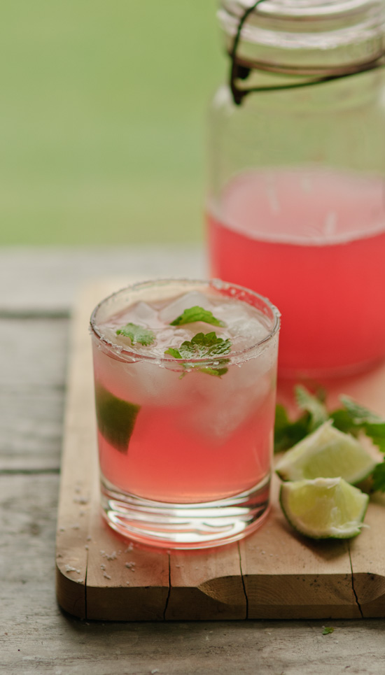 rhubarb margarita rhubarb lemon balm margarita