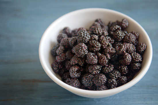 black raspberries wild black raspberries