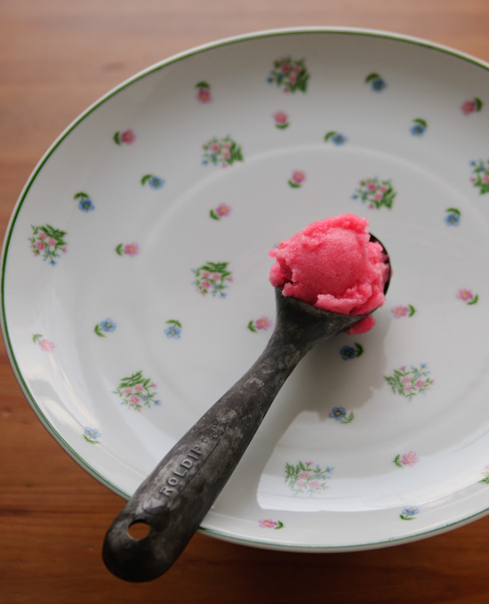 red currant sorbet_