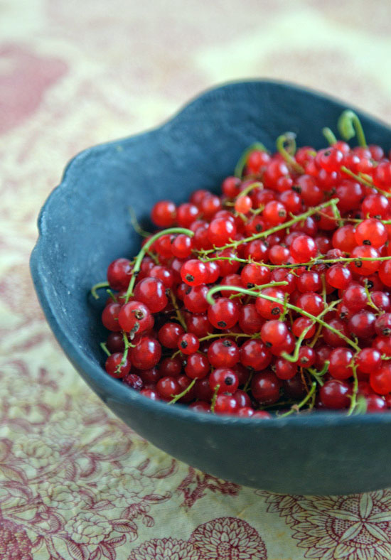 photo of red currants red currants