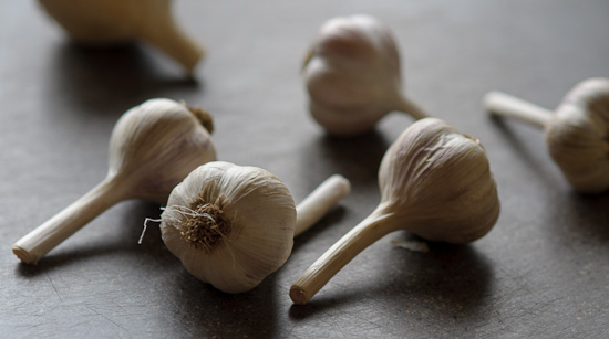 garlic for planting seed garlic