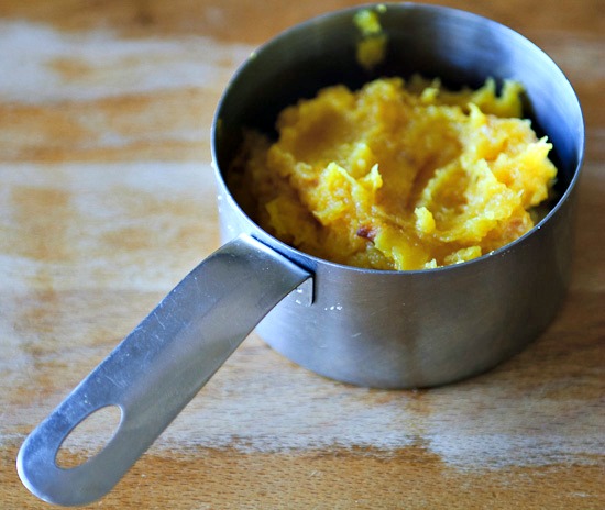 delicata squash puree