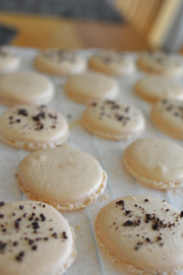 close-up image of macaron shells in the process of drying on a parchment-lined baking tray