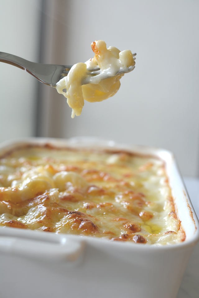 close-up of Swiss Macaroni Cheese with a fork holding a small portion of the dish