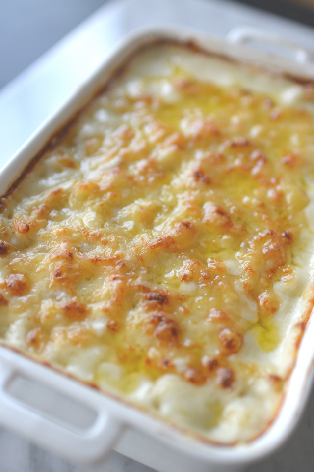 close up view image of freshly baked swiss macaroni cheese