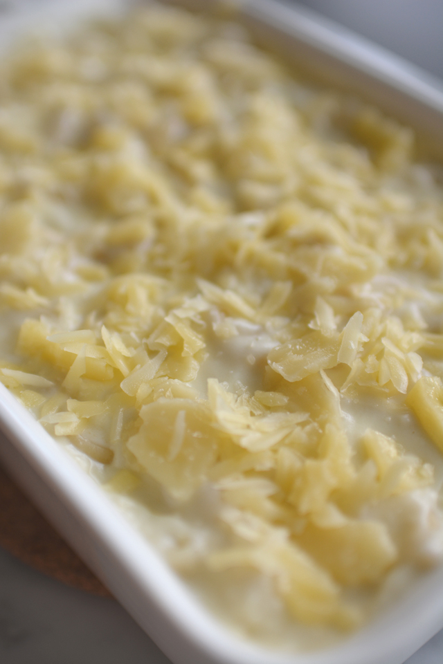 close up view of swiss macaroni cheese topped with grated cheese