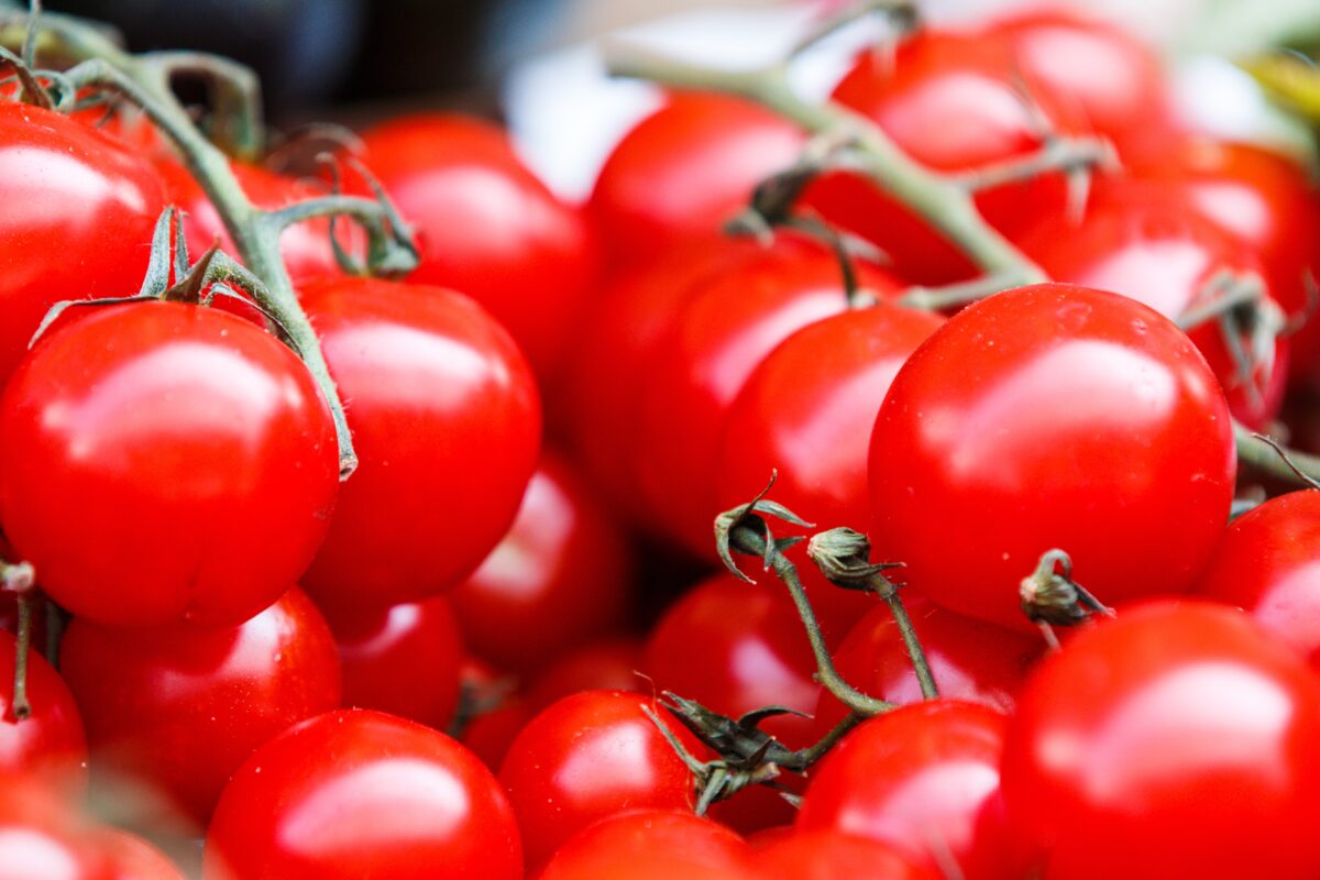 Cherry tomatoes on their stems.